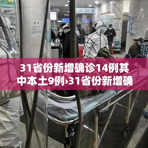 31省份新增确诊14例其中本土9例›31省份新增确诊22例 其中本土9例