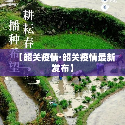 【韶关疫情·韶关疫情最新发布】