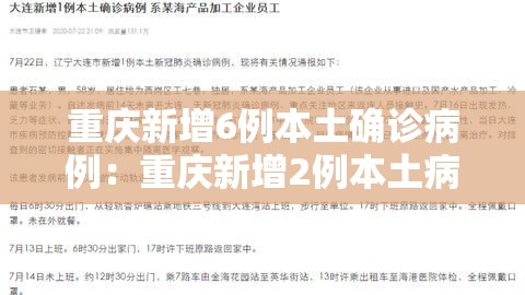 重庆新增6例本土确诊病例：重庆新增2例本土病例行动轨迹