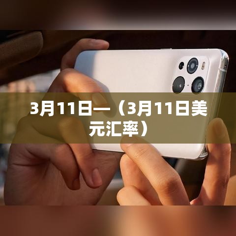 3月11日—（3月11日美元汇率）