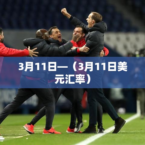 3月11日—（3月11日美元汇率）