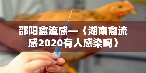 邵阳禽流感—(湖南禽流感2020有人感染吗) 邵阳禽流感—(湖南禽流感2020有人感染吗)