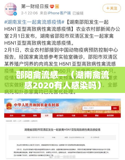 邵阳禽流感—(湖南禽流感2020有人感染吗) 邵阳禽流感—(湖南禽流感2020有人感染吗)