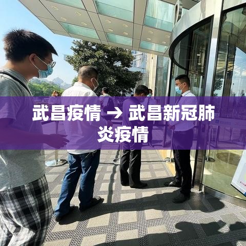 武昌疫情 → 武昌新冠肺炎疫情