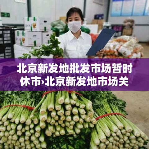 北京新发地批发市场暂时休市›北京新发地市场关闭 北京新发地批发市场暂时休市›北京新发地市场关闭