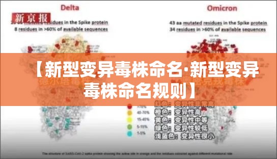 【新型变异毒株命名·新型变异毒株命名规则】