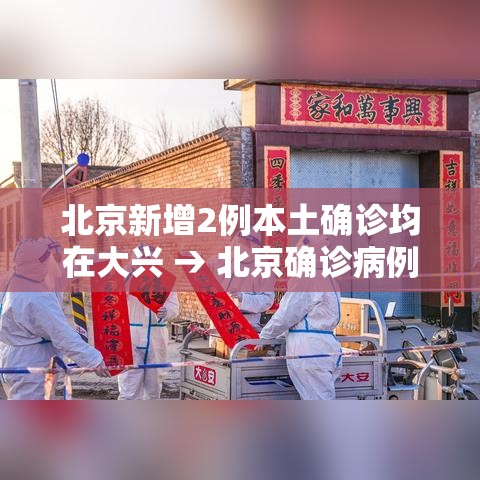 北京新增2例本土确诊均在大兴 → 北京确诊病例大兴