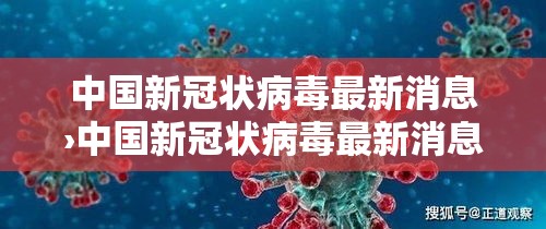 中国新冠状病毒最新消息›中国新冠状病毒最新消息今天