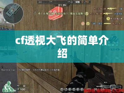 cf透视大飞的简单介绍