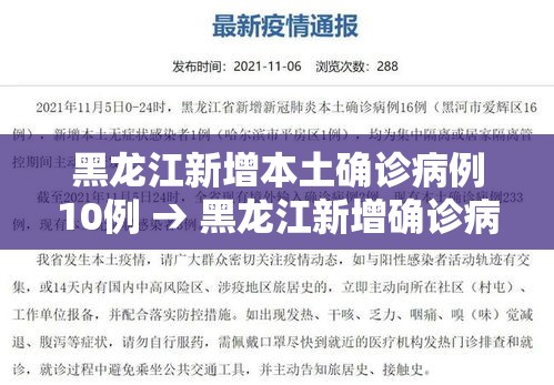黑龙江新增本土确诊病例10例 → 黑龙江新增确诊病例2841例