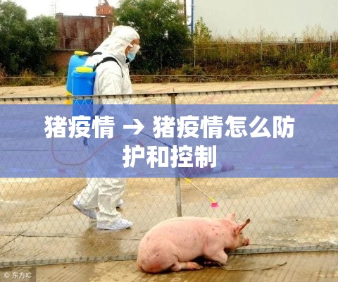 猪疫情 → 猪疫情怎么防护和控制