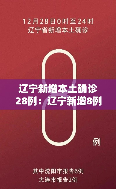 辽宁新增本土确诊28例：辽宁新增8例本土确诊行程