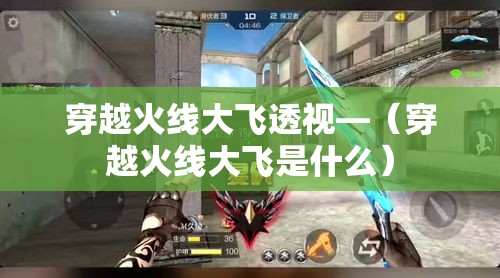 穿越火线大飞透视—（穿越火线大飞是什么）