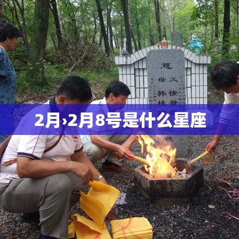 2月›2月8号是什么星座