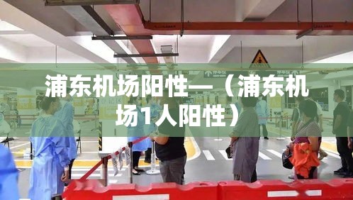 浦东机场阳性—（浦东机场1人阳性）