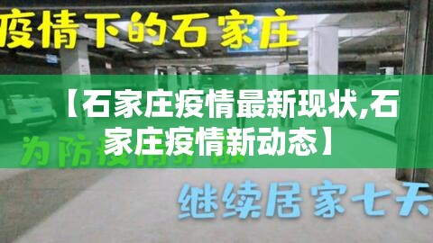 【石家庄疫情最新现状,石家庄疫情新动态】