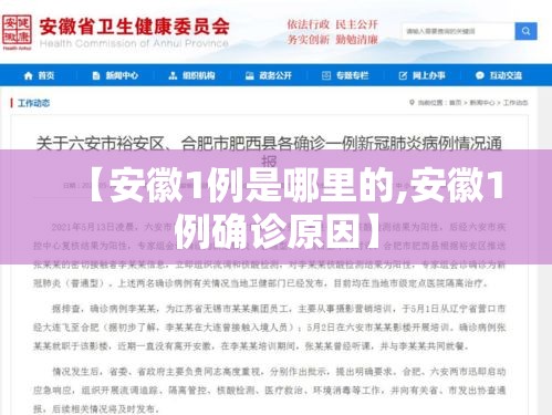 【安徽1例是哪里的,安徽1例确诊原因】