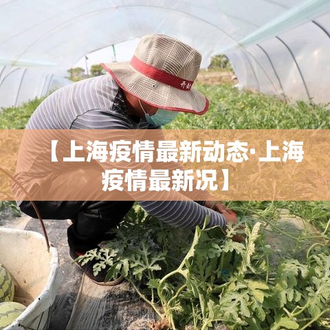 万能开挂辅助“微乐陕西麻将怎么提高胜率”透视开挂辅助教程