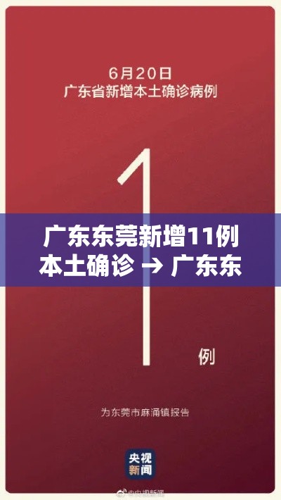 广东东莞新增11例本土确诊 → 广东东莞新增确诊病例