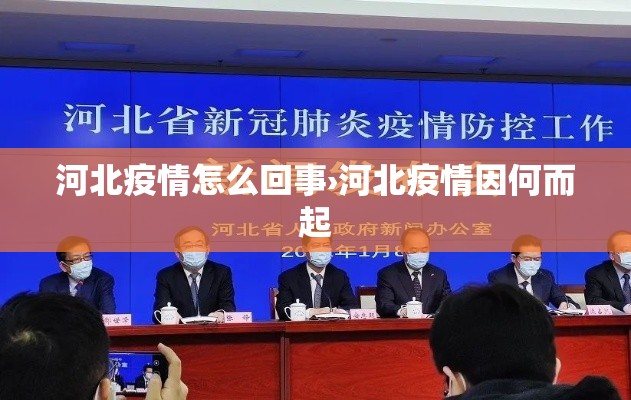 河北疫情怎么回事›河北疫情因何而起