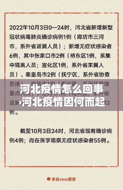 河北疫情怎么回事›河北疫情因何而起