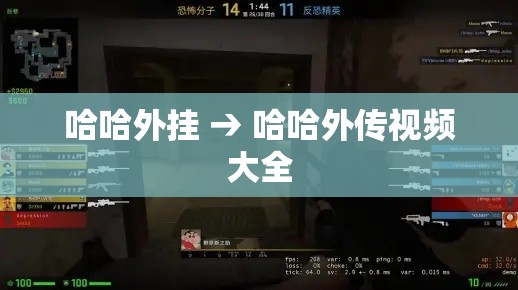 哈哈外挂 → 哈哈外传视频大全