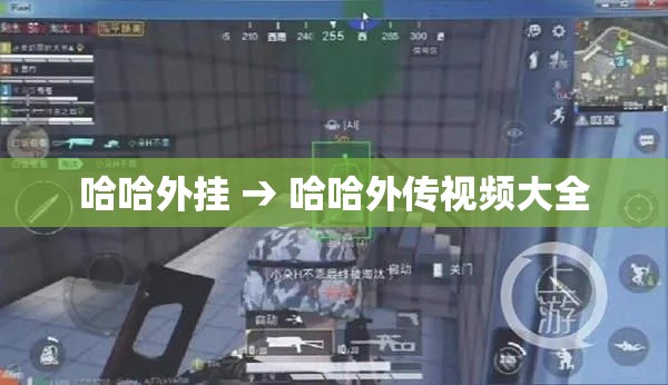 哈哈外挂 → 哈哈外传视频大全