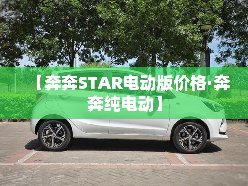 【奔奔STAR电动版价格·奔奔纯电动】