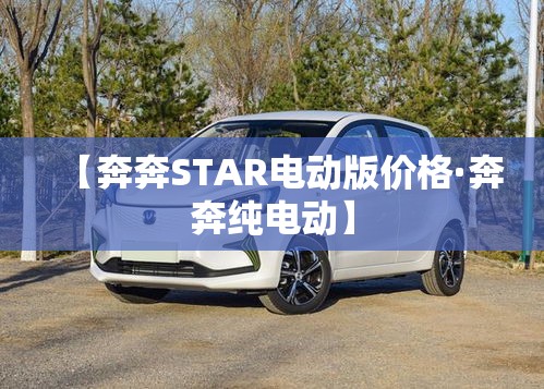 【奔奔STAR电动版价格·奔奔纯电动】