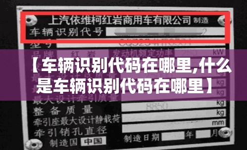 【车辆识别代码在哪里,什么是车辆识别代码在哪里】