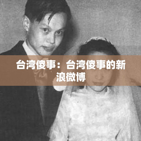 台湾傻事：台湾傻事的新浪微博