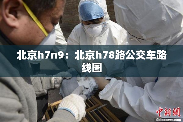 北京h7n9：北京h78路公交车路线图