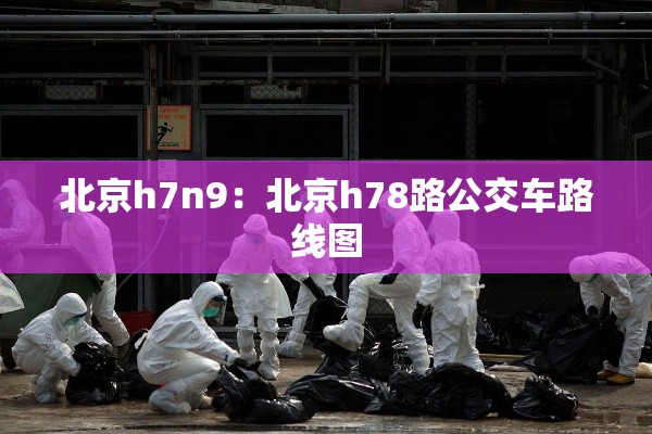 北京h7n9：北京h78路公交车路线图