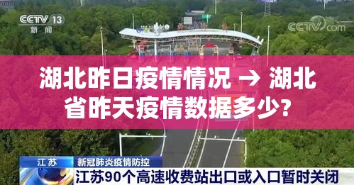 湖北昨日疫情情况 → 湖北省昨天疫情数据多少?