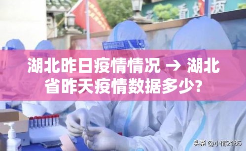 湖北昨日疫情情况 → 湖北省昨天疫情数据多少?
