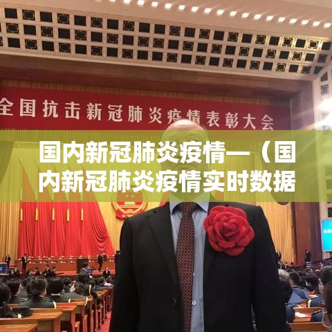 国内新冠肺炎疫情—（国内新冠肺炎疫情实时数据）
