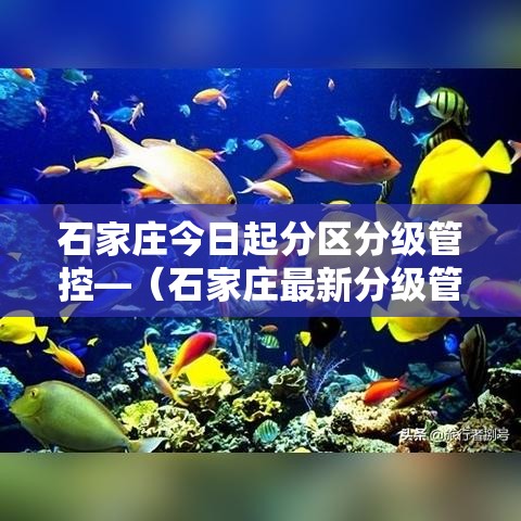 石家庄今日起分区分级管控—（石家庄最新分级管控）