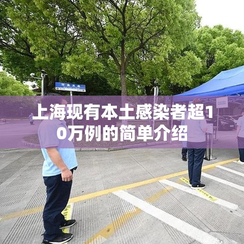上海现有本土感染者超10万例的简单介绍