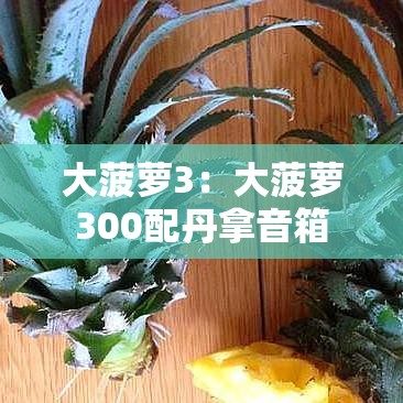 大菠萝3：大菠萝300配丹拿音箱