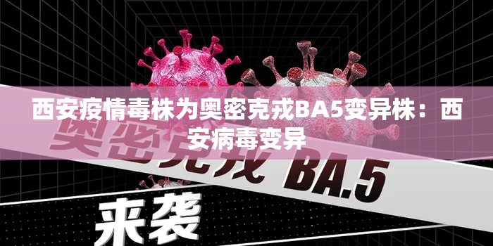 西安疫情毒株为奥密克戎BA5变异株:西安病毒变异 西安疫情毒株为奥密克戎BA5变异株:西安病毒变异