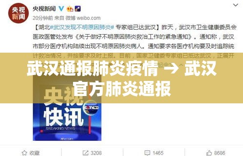 武汉通报肺炎疫情 → 武汉官方肺炎通报