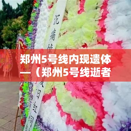 郑州5号线内现遗体—（郑州5号线逝者名单）