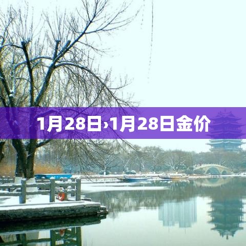 1月28日›1月28日金价