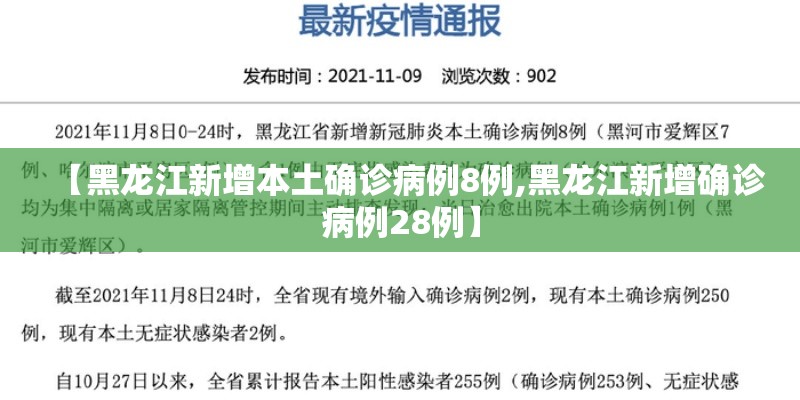 【黑龙江新增本土确诊病例8例,黑龙江新增确诊病例28例】
