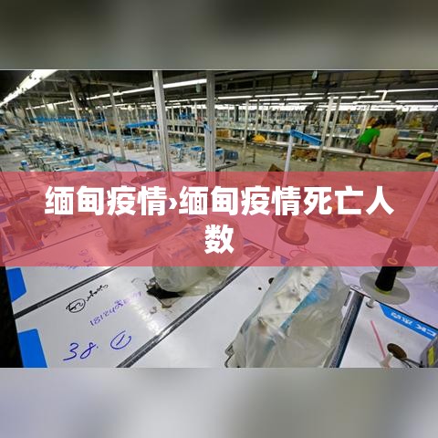 缅甸疫情›缅甸疫情死亡人数 缅甸疫情›缅甸疫情死亡人数