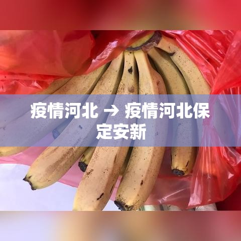 疫情河北 → 疫情河北保定安新