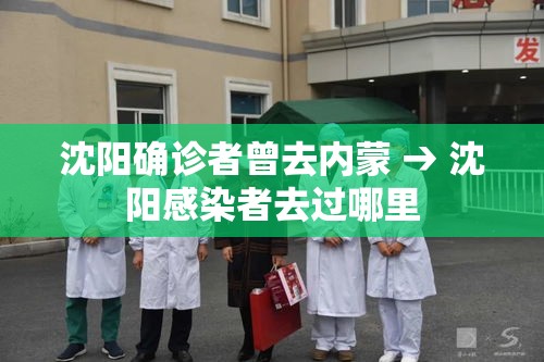 沈阳确诊者曾去内蒙 → 沈阳感染者去过哪里