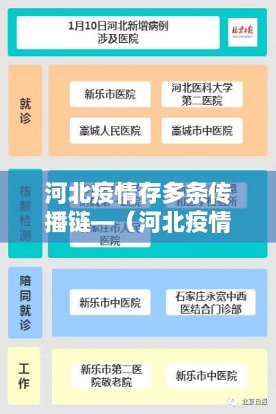 河北疫情存多条传播链—（河北疫情传播轨迹）