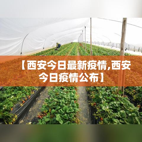 【西安今日最新疫情,西安今日疫情公布】 【西安今日最新疫情,西安今日疫情公布】
