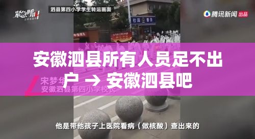 安徽泗县所有人员足不出户 → 安徽泗县吧 安徽泗县所有人员足不出户 → 安徽泗县吧